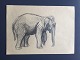 Torkil Norél 
(1922-2009):
Elefant.
Kul/bly på 
papir.
Sign.: 
usigneret
Uden ramme
21x30