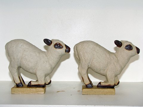 item no: 217243