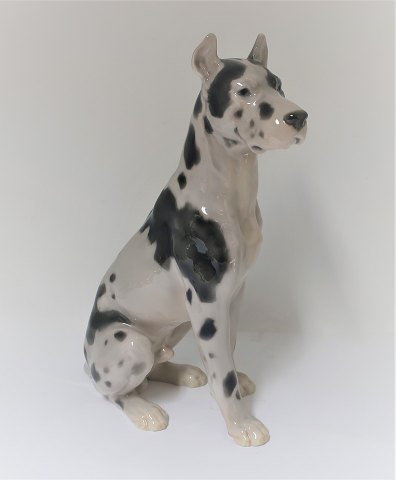Bing & Grondahl. Porcelain figurine. Sitting Great Dane. Model 2038. Height 25 
cm. (2. quality)