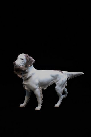 Bing & Grøndahl porcelænsfigur af Engelsk Sætter hund...