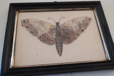 An old composition of a butterfly in the original frame
Made of wings from a butterfly
Rare
About 21,5cm x 16cm
In a good condition