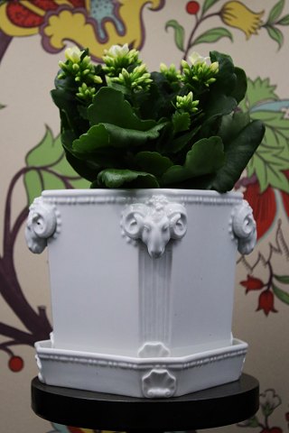 Royal Copenhagen 8 square flower pot hiders in white porcelain with ram