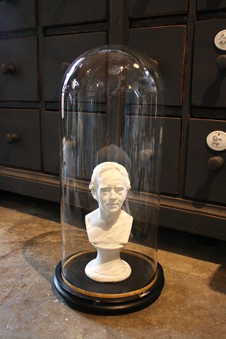 Decorative, old cylinder-shaped French glass Dome / Globe on a black wooden base 
for exhibition. H: 55cm.