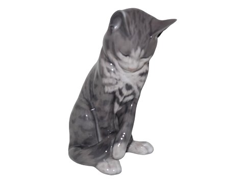 Large Royal Copenhagen figurine
Grey striped cat