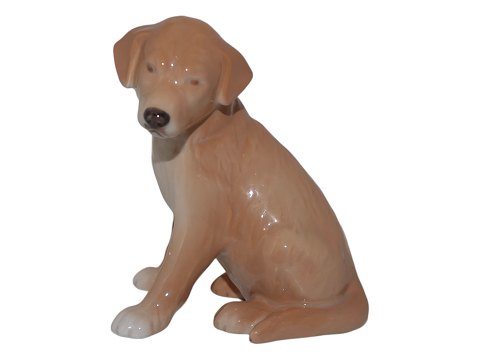 Royal Copenhagen hundefigur
Elses hund - Golden Retriever