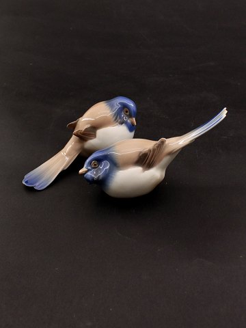 click to zoom