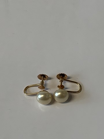 item no: 619761