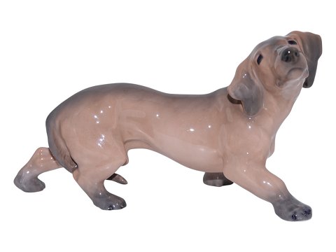 Rare Royal Copenhagen figurineDachshund