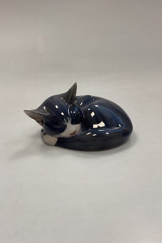 Royal Copenhagen figurine Sleeping cat No. 422