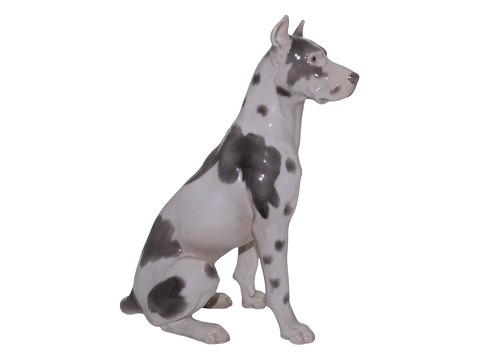 Dogs<br>Royal ...