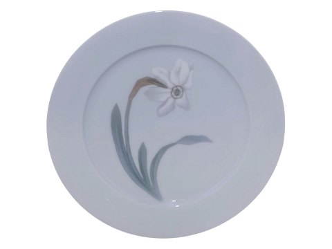 item no: 642286