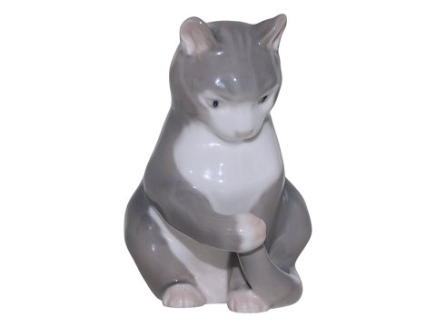 Cats<br>Royal ...