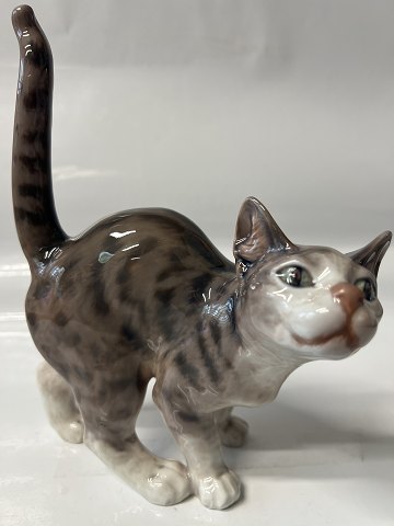 click to zoom