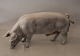Royal 
Copenhagen pig 
4561 RC Boar 
Feeding 19 x 40 
cm Helen Schou  
 In mint and 
nice condition
