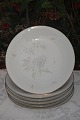 Venus Bing & 
Grondahl 
porcelain. B&G 
Venus, dinner 
plate no. 25. 
Diameter 24cm. 
9 7/16 inches. 
...