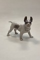 Royal Copenhagen Figur Boston Terrier No. 1457Designet af Knud Max Møller.Måler 11 cm x 13 ...