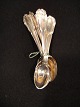 12 pcs coffee 
Spoon. Three 
Tower Silver 
Weight 150 
grams. price 
for all