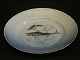 Bing & Grondahl Seagull with gold edgeFish plate, mackerel no 10Diameter 21,5 cmGood condition