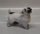 Royal 
Copenhagen dog 
2668 RC Terrier 
head up.  Knud 
Kyhn 1926 13 x 
13 cm In mint 
and nice ...