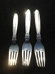 CACTUS.
Georg Jensen. 
GJ
Dinner fork. 
Length: 18.5 
cm.
Lunch fork 
length: 16.5 cm

