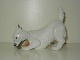 Royal Copenhagen Dog Figurine, Terrier with Slipper.Decoration number 3476.Factory ...