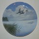 Plate in 
porcelain from 
Royal 
Copenhagen. 
Motif with 
birds near the 
coast. In good 
condition. ...