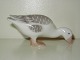 Bing & Grondahl 
Goose Figurine, 
 Goose for the 
boy Dickie
Decoration 
number 1902, 
Factory ...