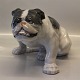 Royal 
Copenhagen 0778 
RC Huge English 
Bulldog 
sitting. 
Designed by 
Knud Kyhn 1906 
In mint and ...