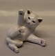 Royal 
Copenhagen 302 
RC Kitten 
lying  AT  7.5 
x 7.5 cm 1993  
white In mint 
and nice 
condition
