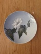 Royal 
Copenhagen Art 
Nouveau Wall 
Plate with 
Flower No 
376/1117. 
Measures 17,8cm 
and is in good 
...