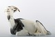 Royal 
Copenhagen 
goat, number 
466. 
2nd factory 
quality, 
perfect 
condition. 
27.5 cm. long.