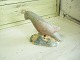 1800-tals 
lertøjs 
sparbøsse fugl
koldtbemalet
L. 9cm. 7,6cm.