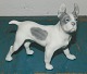 Figure of 
Boston Terrier 
in porcelain 
from Royal 
Copenhagen. In 
perfect 
condition with 
no damage ...