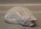 Royal 
Copenhagen  
0284 RC Cat 
curled EN 1901 
8 x 21 cm  In 
mint and nice 
condition
