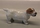Royal 
Copenhagen dog 
3085- 1453 RC 
Sealyham 
standing 6.5 x 
13 cm Th. 
Madsen In mint 
and nice ...