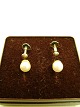 Sterling silver 
earrings with 
pearl dia. , 05 
cm. No. 235040