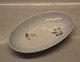 3 pc in stock
039 Oval cake 
dish 24 cm 
(314) Bing and 
Grondahl  Blue 
Falling Leaves 
- autumn ...