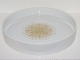 Rosenthal 
studio-line, 
Bjorn Wiinblad, 
larger  bowl 
with gold 
decoration.
Diameter 25.0 
...