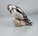 Click a photo to view the large photo