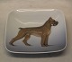 Royal 
Copenhagen 3690 
RC Dog tray 
with Boxer, 
square 10.5 x 
10.5 cm  In 
mint and nice 
condition
