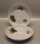 17 pcs in stock
Soup plate 20 
cm Picnic  
Danild  50 
Lyngby Fruit 
and Vegetables 
or Picnic  ...