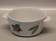 1 pcs in stock
Pan with ears 
7 x 19 cm 
Picnic  Danild  
50 Lyngby Fruit 
and Vegetables 
or Picnic ...
