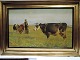 Poul Steffensen 
1866-1923. 
Painting of 
cows. Painted 
1922. 
Dimensions 63 * 
102 cm. 
Dimensions ...