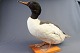 Taxidermy: 
Goosanders, h: 
33 cm