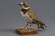 Taxidermy: 
plover, h: 14 
cm