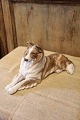 Porcelain 
figurine of a 
Collie dog from 
Royal 
Copenhagen.
Factory 2nd 
quality.
Decorative ...