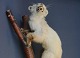 Taxidermy: 
Stone Marten