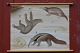 Outlook board 
with wooden 
sticks: 
platypus, 
anteater and 
sloth, Image 
dimensions: 58 
x 76 cm, ...