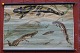 Outlook Board 
with wooden 
sticks: 
Salamanders, 
Image 
dimensions: 55 
x 88 cm