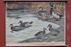 Outlook board 
with wooden 
sticks: Ducks, 
Image 
dimensions: 70 
x 105 cm